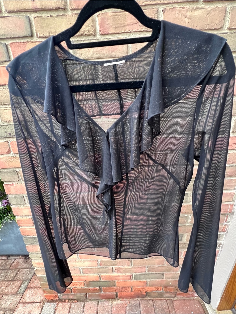 Sheer Ruffle-Front Long Sleeve Top - Black